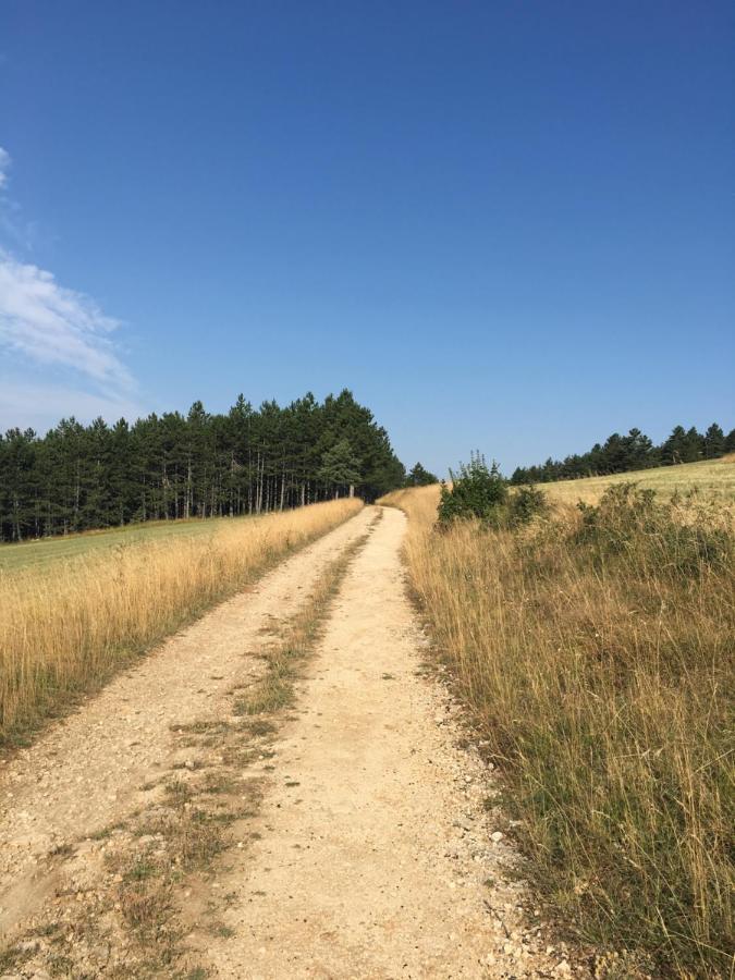 L'oree Des Pignes Vakantiehuis