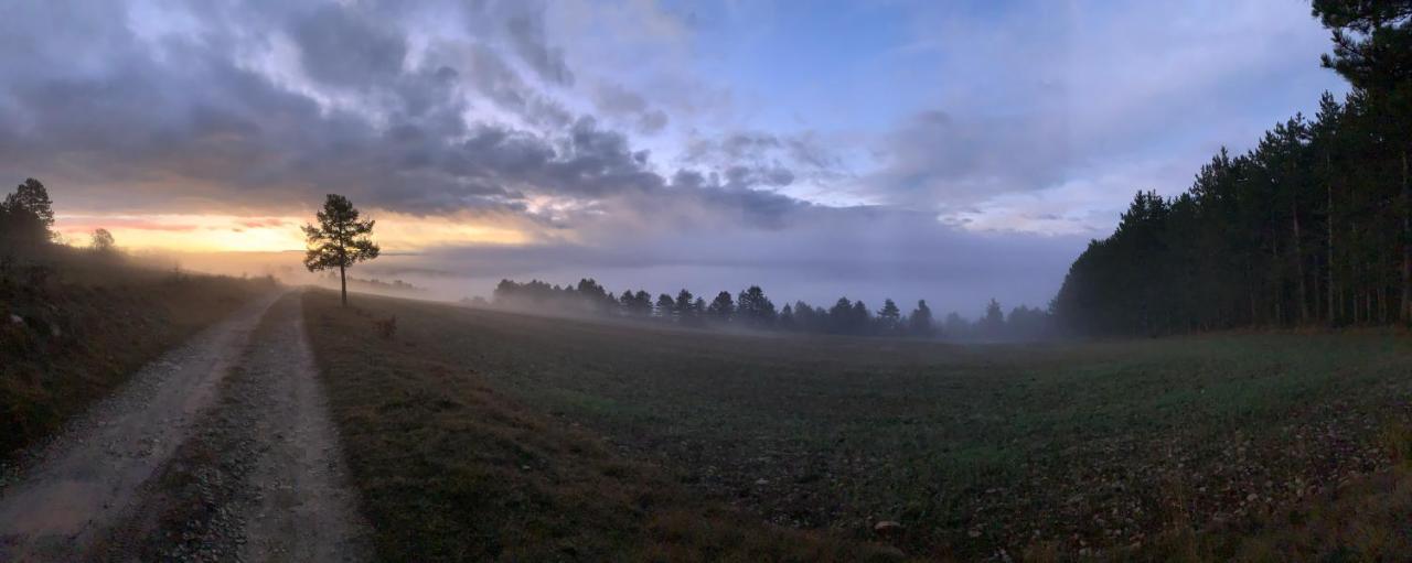 L'oree Des Pignes Nojaret